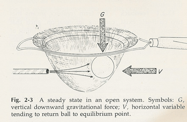 Open system (systems theory) - Wikipedia