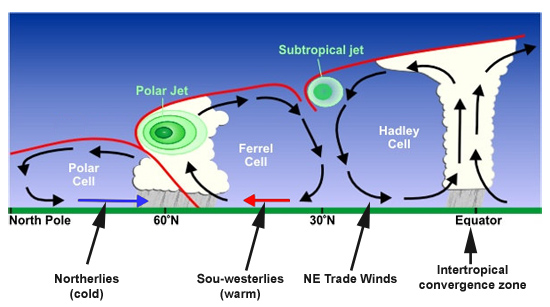 Hadley, Ferrel, Polar Cells and Polar and Subtropical jets
